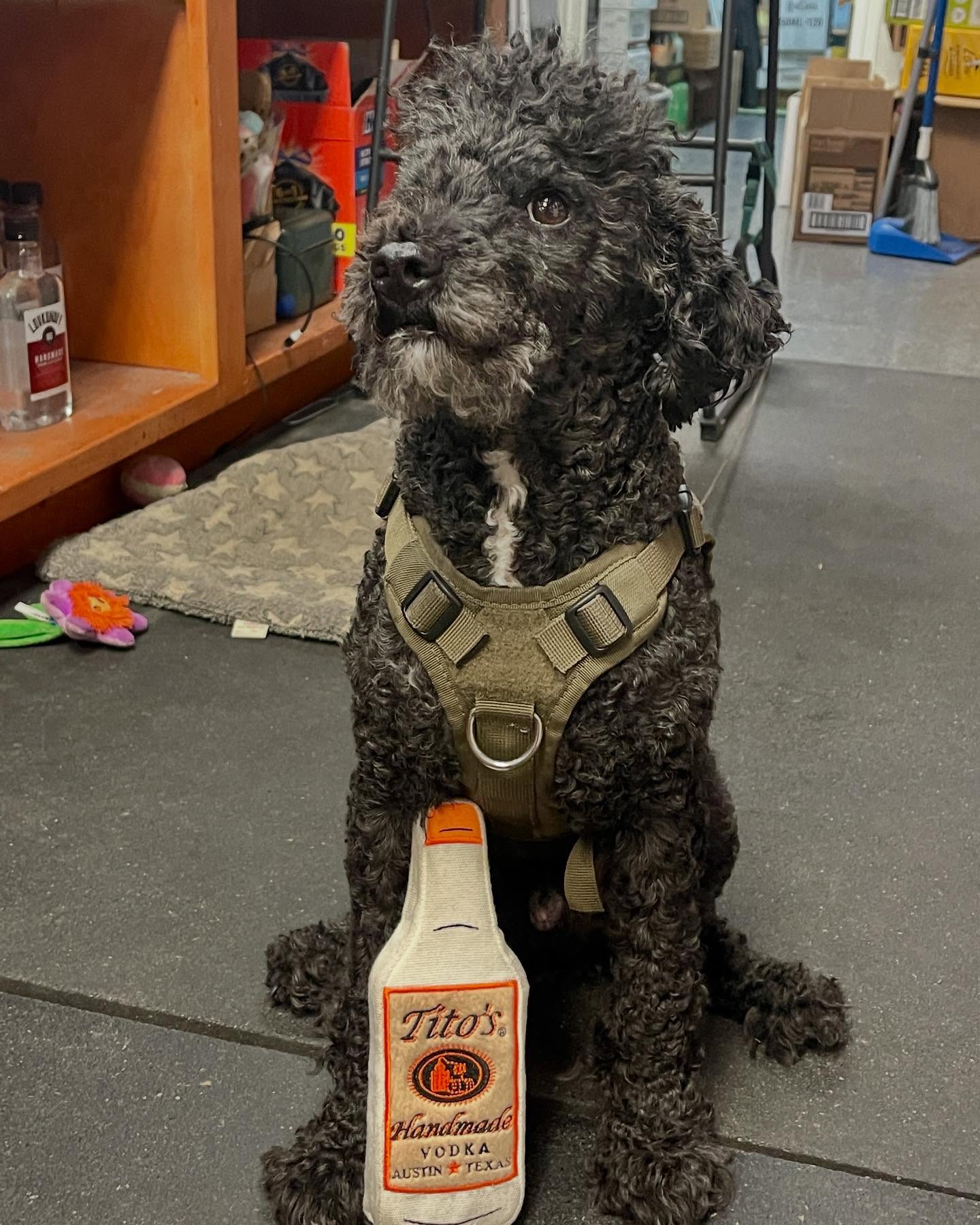 Weller, the Bella Vista Wine & Spirits mascot.